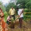 A tree planting program at "Sanhinda" Elderly Daycare Center (2024-06-06)